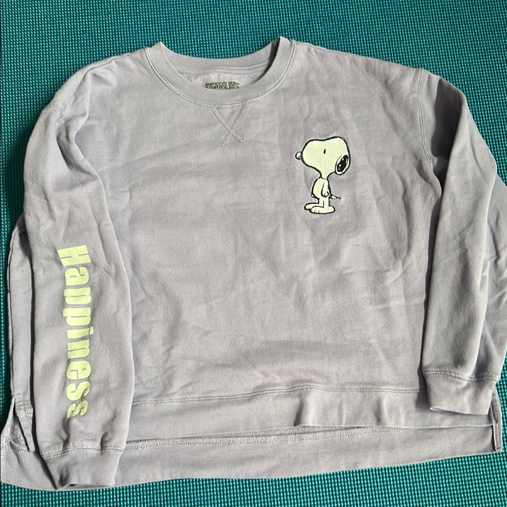 Peanuts Kids Gray Snoopy Sweatshirt